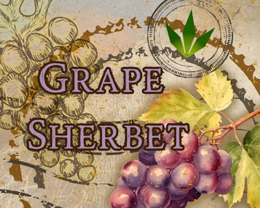 THE HEMPIRE COLLECTIVE - THC | Grape Sherbet 