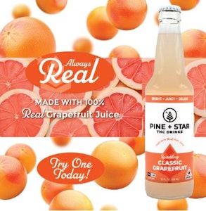 Pine + Star - Pine + Star | Grapefruit | 10mg | Beverage