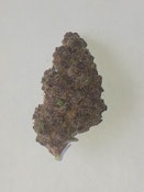 DPF - Grapefruit Creme Pop Flower (1 oz) - Hybrid
