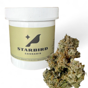 Grapefruit Magoo - 14g - Blue Collar Botany