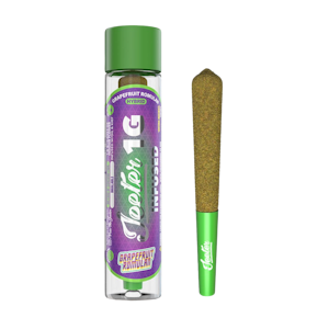 JEETER - Grapefruit Romulan (H) | 1g Infused Preroll | Jeeter