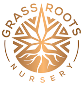 Grass Roots Nursery Kush Crasher