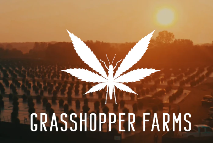 GRASSHOPPERS - Grasshopper Farms-Ice Cream Cake Live Resin 5g Tin Infused Prerolls Main Image
