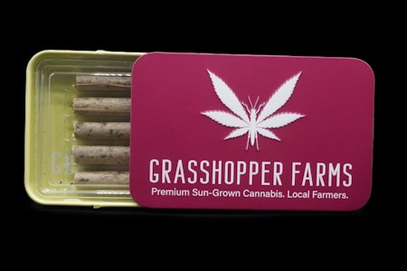 GRASSHOPPER FARMS - Chocolate Covered Strawberry (5x1G Pre Roll)