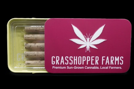 Blazin Blueberry Melon (5x1 G Pre Roll)