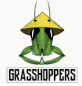 Grape Slushie | 1g | Infused Pre Roll | Grasshoppers