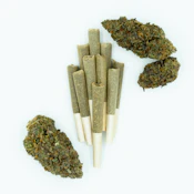 GL Glue 31 | 0.35g | 10 count