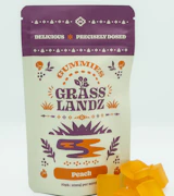 Grasslandz | 100mg Edible | Peach