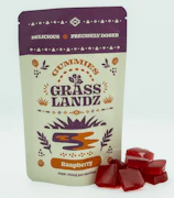 Grasslandz | 100mg Edible | Raspberry
