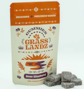 Grasslandz | 100mg Edible | Sour Blueberry