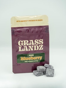 Grasslandz - Gummies - Sour Blueberry - 10mg THC - 10 count