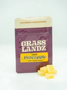 Gummies - Sour Pineapple - 10mg THC - 10 count