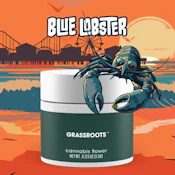 Grassroots | Blue Lobster | 7g | Smalls Flower