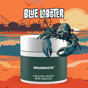 Grassroots - Grassroots | Blue Lobster | 7g | Smalls Flower