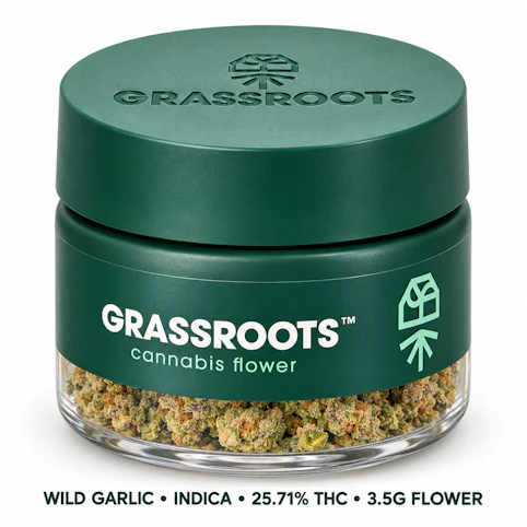 Grassroots - Wild Garlic – Indica – 25.71% THC | 3.5g Whole Flower | Grassroots   -CC8 BACK