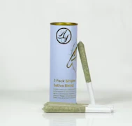 Jack Herer 5pk Preroll Great Day By Alt Sol