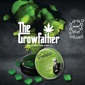 The Growfather | Green Apple Fast-Acting Gummies | 10pk/100mg
