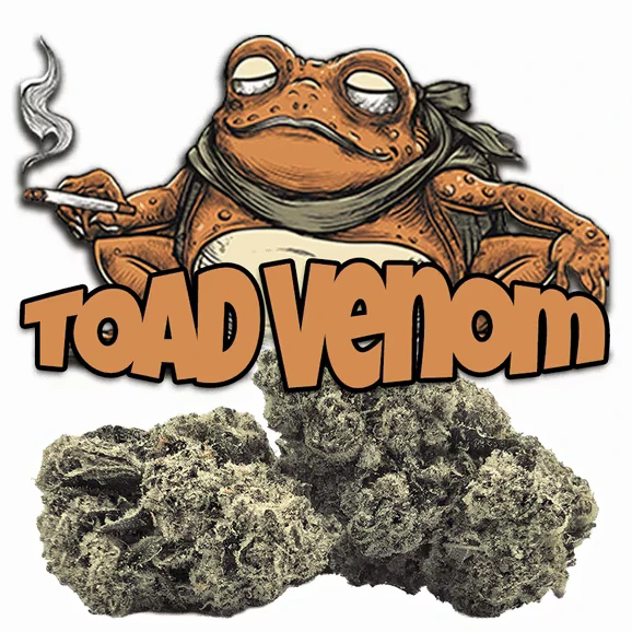 Green Dragon - Green Dragon 3.5g Toad Venom Main Image
