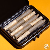 Green Diesel Shorties S 25670