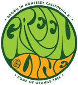 Greenline - 1g Diamond Infused Pre-Roll - The Wendy