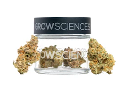 Kush Mints Flower - 3.5g