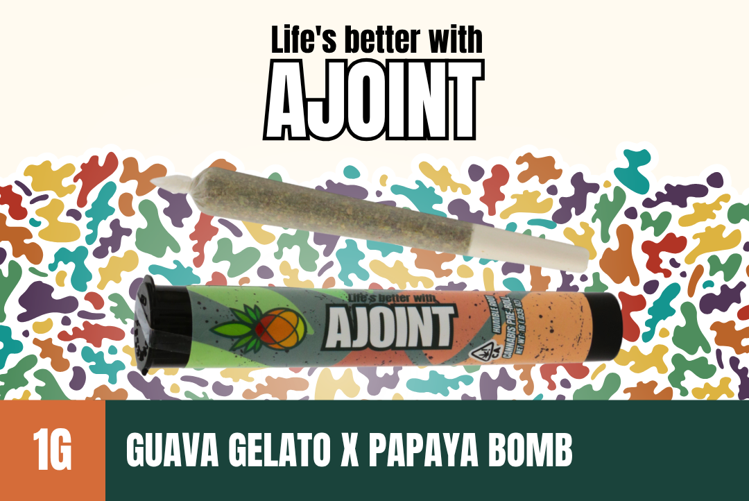 1g Guava Gelato x Papaya Bomb Pre-Roll - Humble Root picture