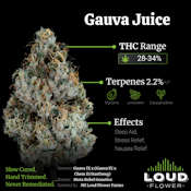 MI Loud Flower - Guava Juice (I Hybrid) Preroll - 1g
