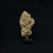 THC | Guava Tai