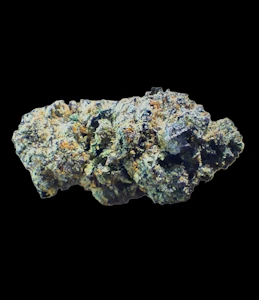 FREIGHT TRAIN CANNA - GUAVALATO FLOWER