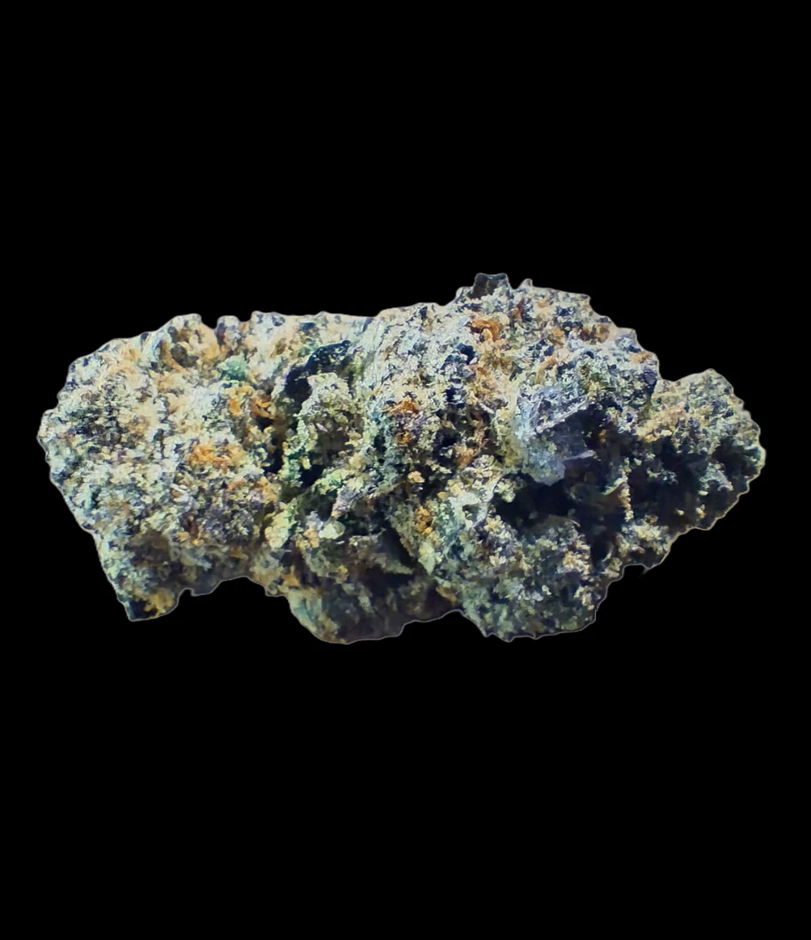 Freight Train Canna - GUAVALATO FLOWER Main Image