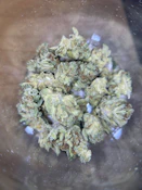 Mischief | Gummibears | POTCORN | 3.5g (CANNABIS FLOWER (PACKAGED))