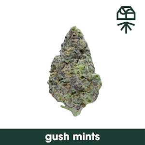 GRASSROOTS (NM) - GrassRoots | Gush Mints | 7g Hybrid 