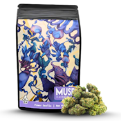  Next Day - Gush Mints Smalls (7g)