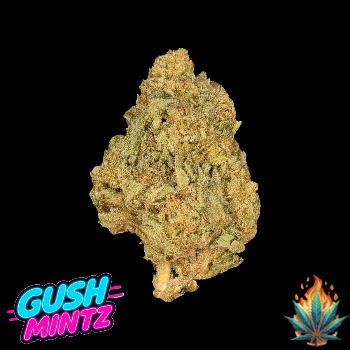Tribal Nation Flower Company - Native Fire 3.5g- Gush Mintz Main Image