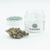 Plants Over Pills - Gush Mintz - 3.5g