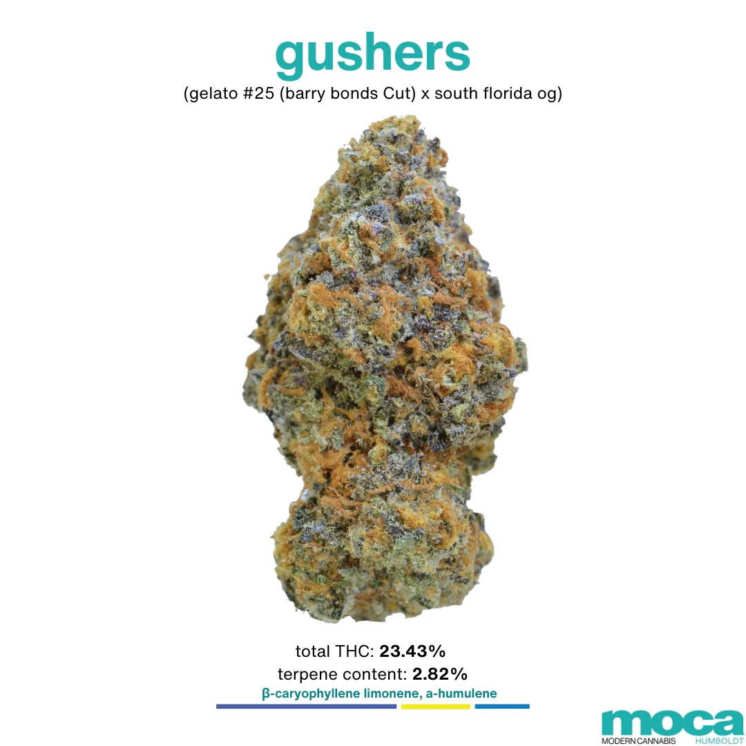MOCA Flowers - MOCA Flowers - Smalls 1/4 Bag - Gushers Main Image
