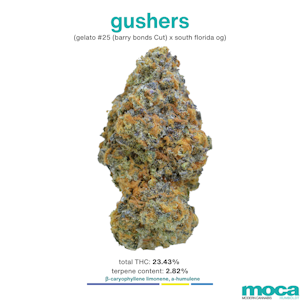 MOCA Flowers - MOCA Flowers - 1/8th Jar - Gushers