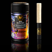 Infused - 5pk - Halochrome (Mini Halos) - 3g (SH) - Maven