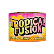 LIVE ROSIN TIER 1 - TROPICAL FUSION 1G - HAVE HASH x MENDOJA FARMS