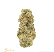 Bouket | Honeymoon Diesel  | 4G Hybrid