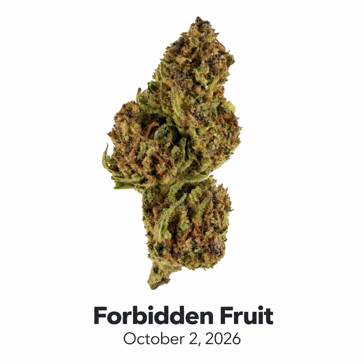 HDH Forbidden Fruit