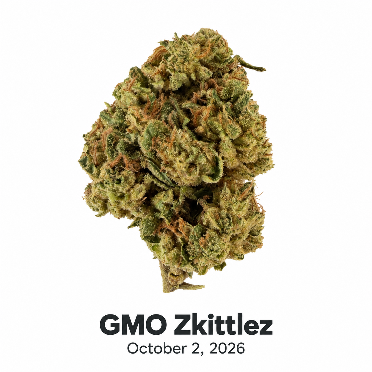 HDH GMO Zkittlez