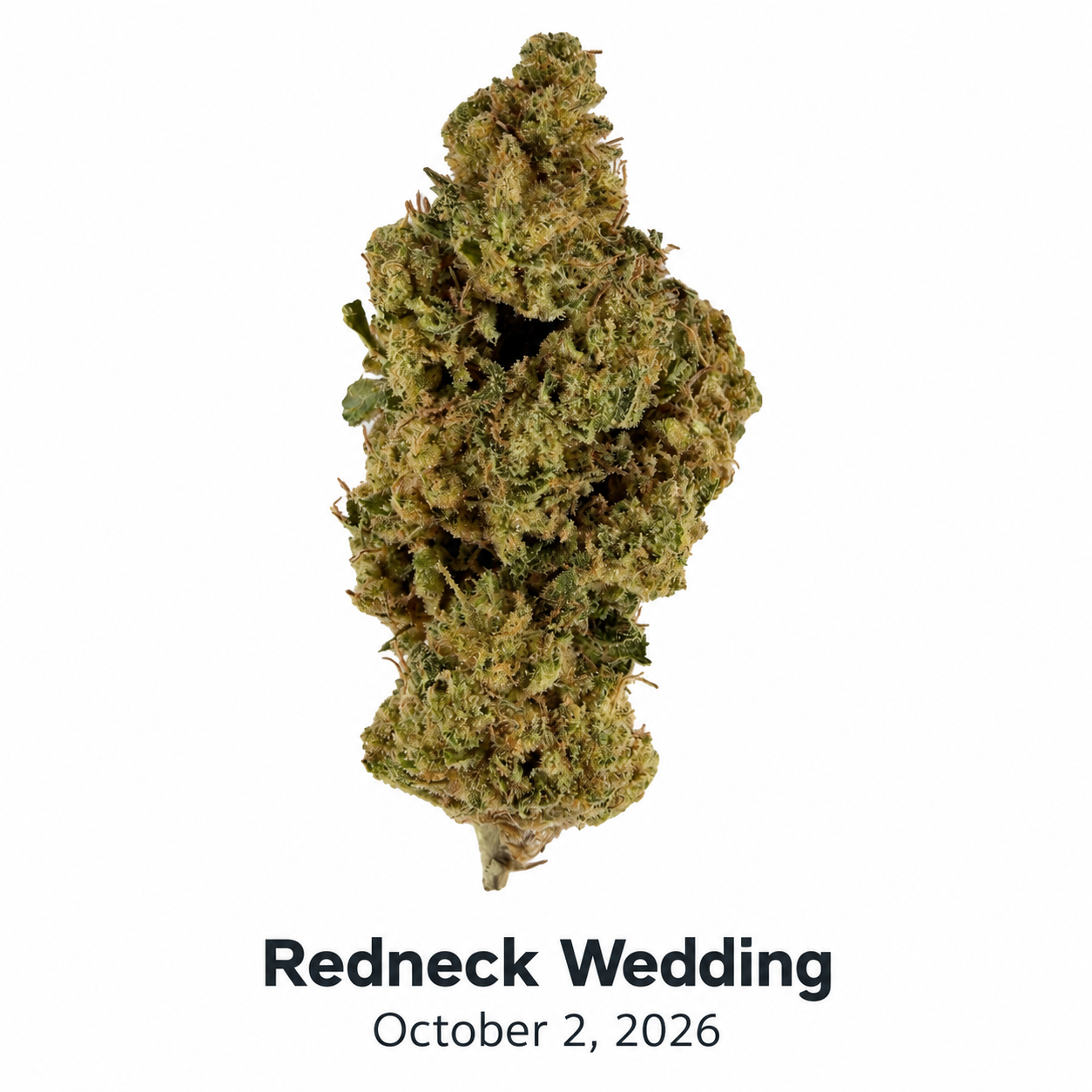 HDH Redneck Wedding