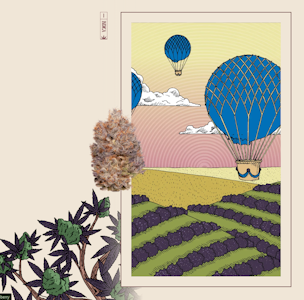 Heirbloom Legacy Flower - HEIRBLOOM - Flower - Blueberry - 3.5G