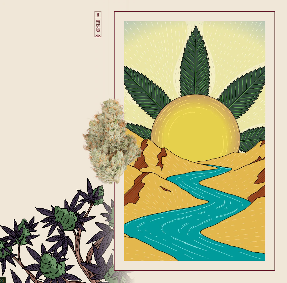 Heirbloom Legacy Flower - HEIRBLOOM - Flower - SFV OG - 3.5G Main Image