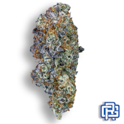 Helen Back "Pinesicle" Flower