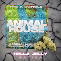 Animal House - Hella Jelly - 3.5g - Flower