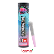 Hellavated Razberry Blitz 5pk Infused Pre-Roll 0.5g
