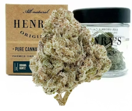 Flower - Obama Runtz - 3.5G