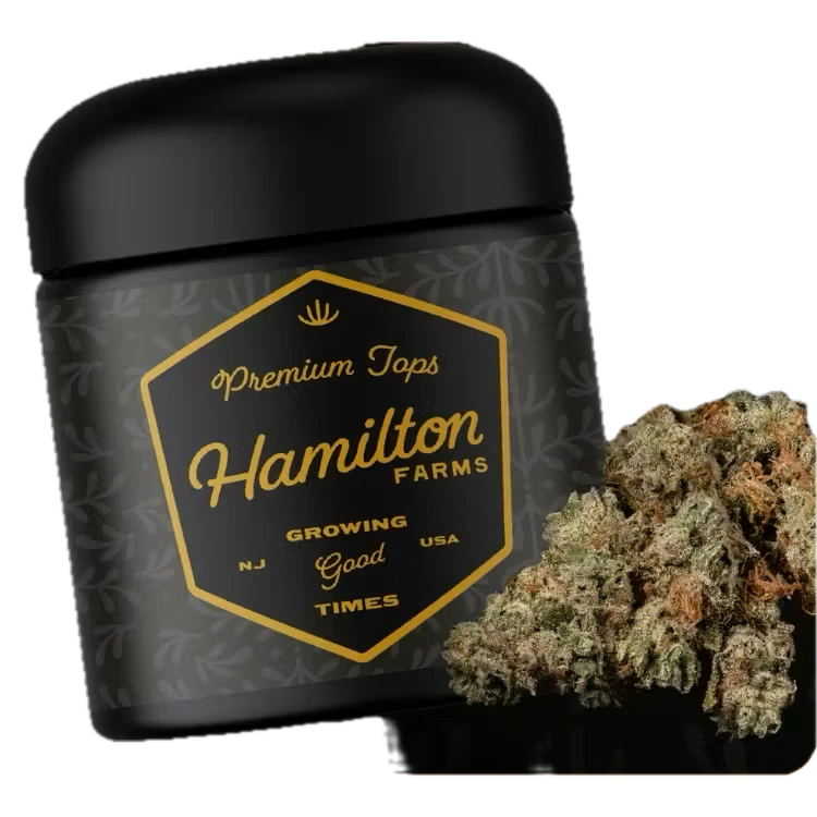 Hamilton Farms - Garlic Knots Flower 3.5g  Main Image